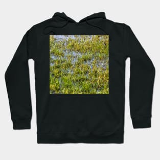 wet grass Hoodie